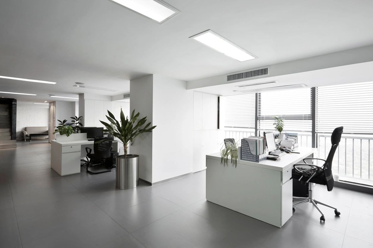 Modern minimalist office space with plants